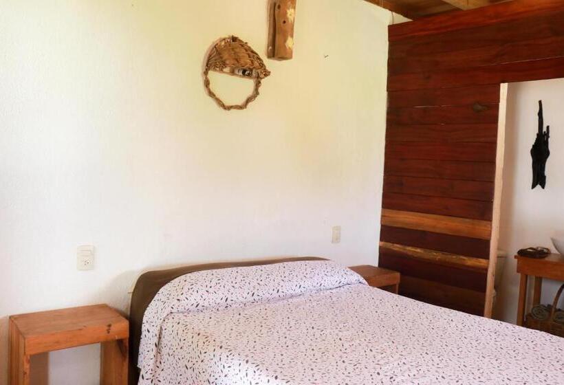 חדר סטנדרט, Cafe Maya   Casa Acalli