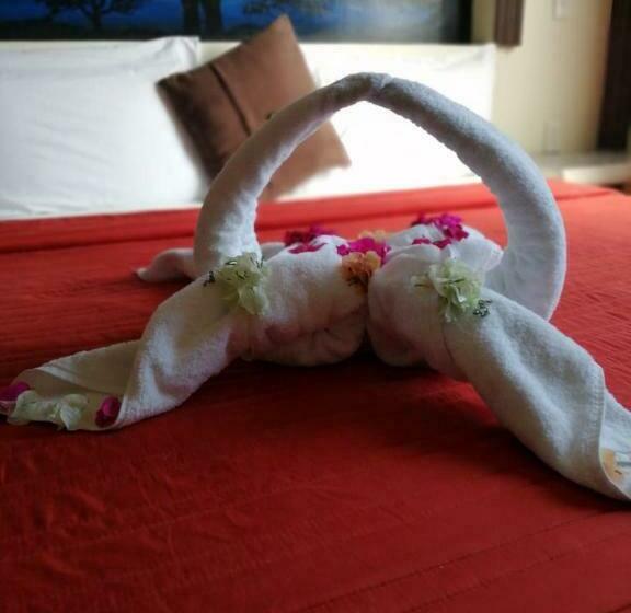 スタンダードルーム, Diamante