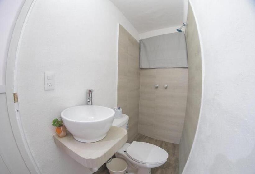 Номер Deluxe, San Carlos