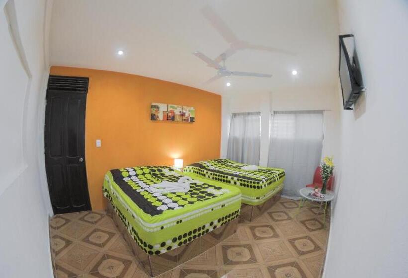 Номер Стандарт, San Carlos