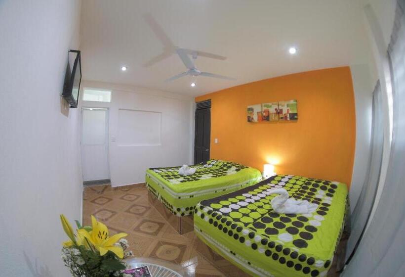 Quarto Estandar, San Carlos