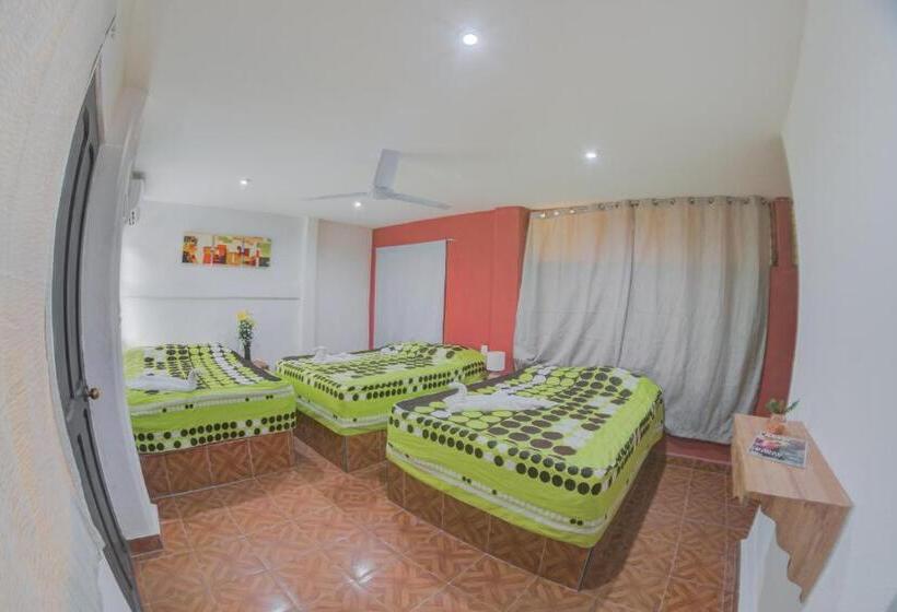 Номер Стандарт Трехместный, San Carlos