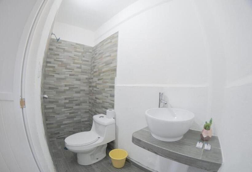 Quarto Triplo Estandar, San Carlos