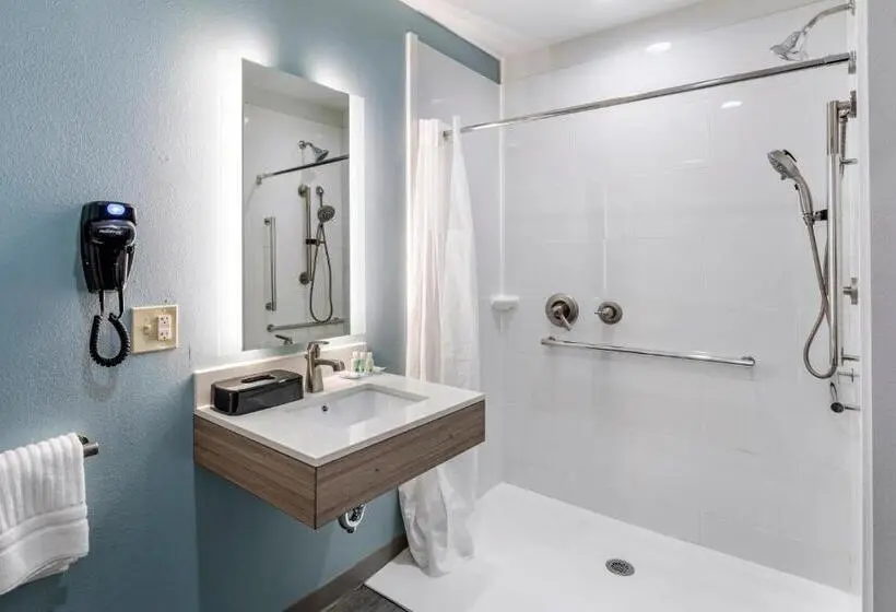 身障者適用キングサイズベッドルーム, Quality Inn Lebanon  Nashville Area