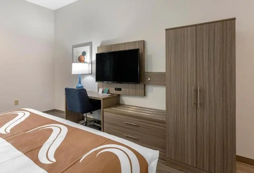 身障者適用キングサイズベッドルーム, Quality Inn Lebanon  Nashville Area