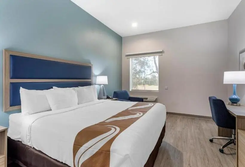 身障者適用キングサイズベッドルーム, Quality Inn Lebanon  Nashville Area