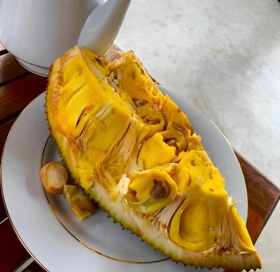 חדר סטנדרט נוף לגינה, Olee Villa