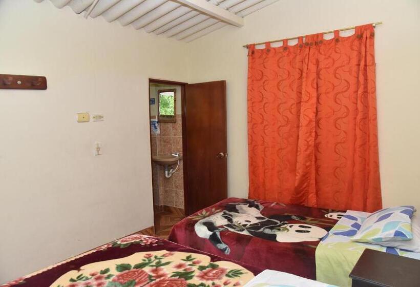 غرفة قياسية رباعية, El Retorno