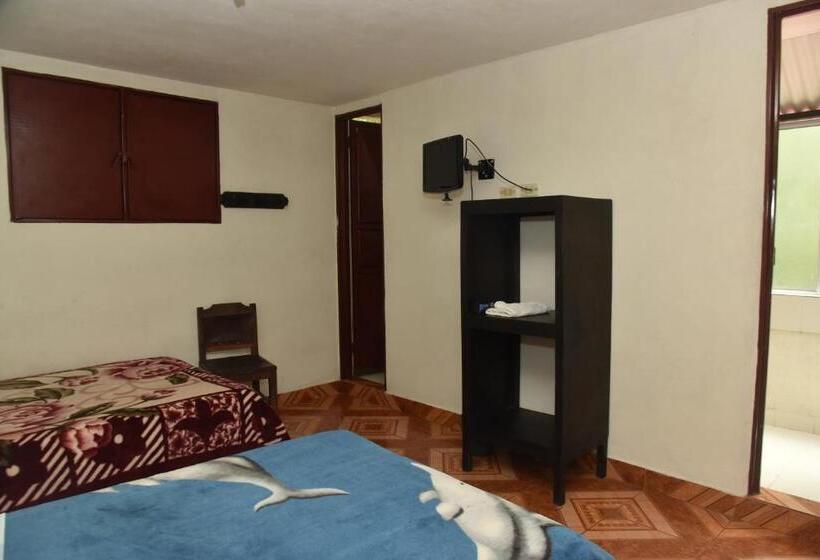 غرفة قياسية, El Retorno