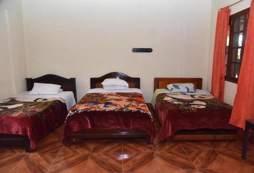 غرفة قياسية ثلاثية, El Retorno