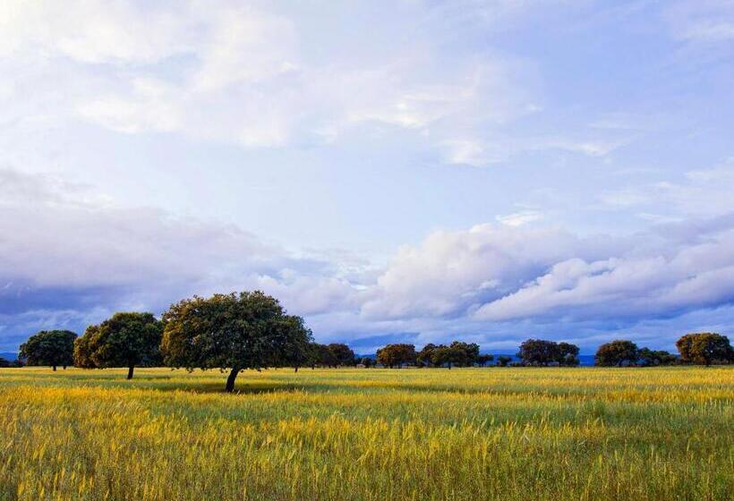 خانه 4 خوابه, Casa Babel Monfragüe