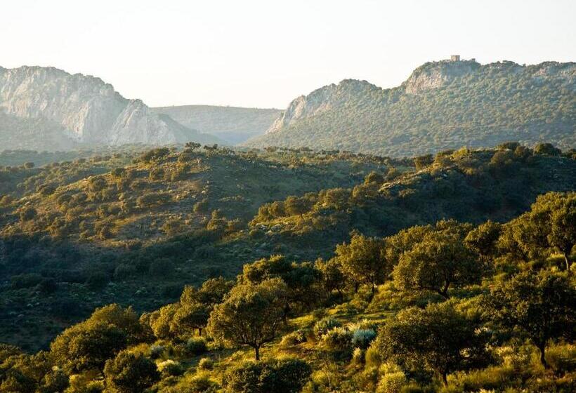 خانه 4 خوابه, Casa Babel Monfragüe