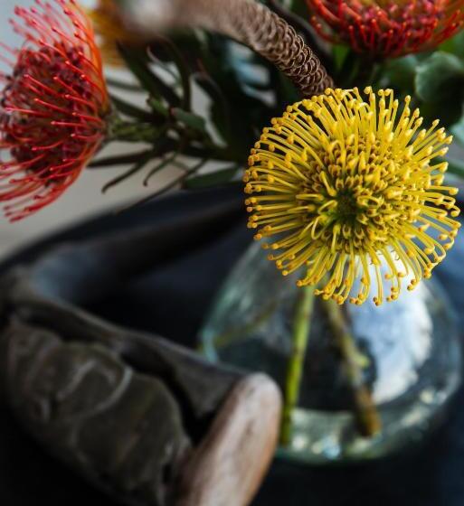 חדר דלוקס נוף לים, Villa Afrikana Guest Suites By Knysna Paradise Collection