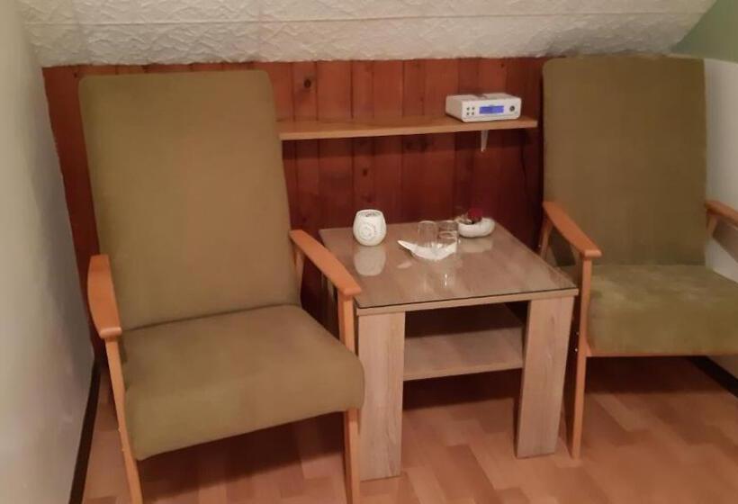 스탠다드 룸 킹사이즈 침대, Pension Kristýna