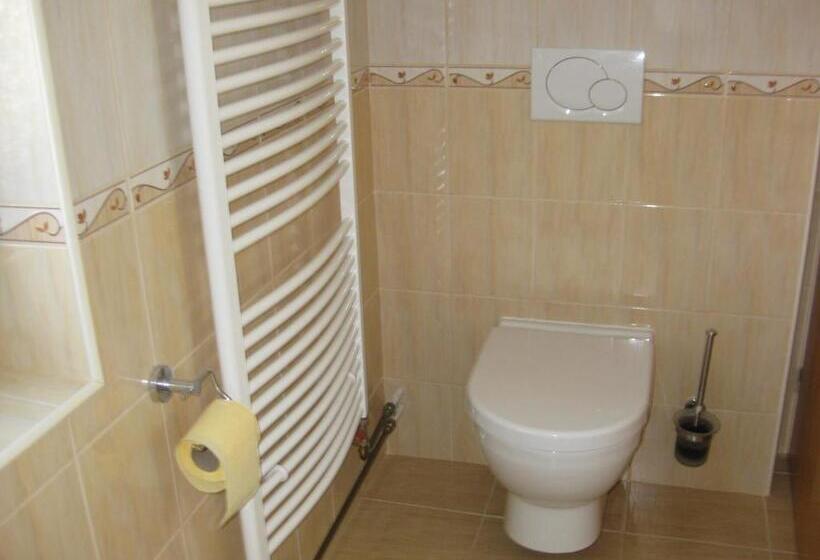 스탠다드 룸 공동 욕실, Pension Kristýna