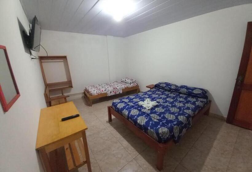 스탠다드 룸, Chafo