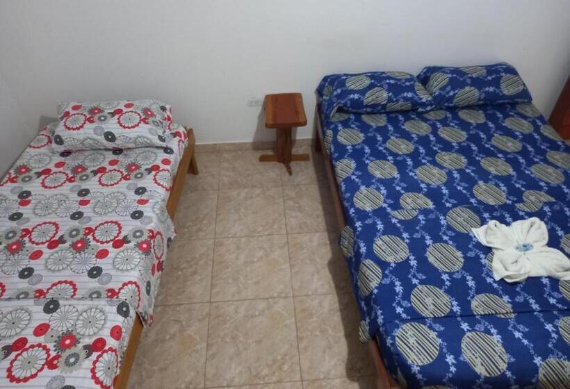 스탠다드 룸, Chafo