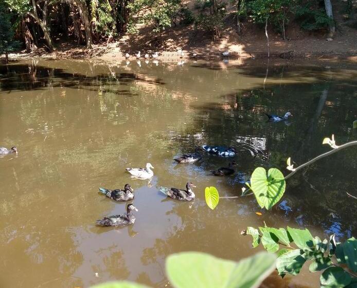 침실 1개 아파트, Pousada Realeza Atibaia