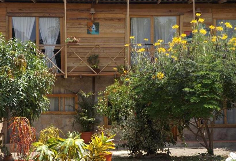 Трежместный Номер Economy, Buganvilla Guest House