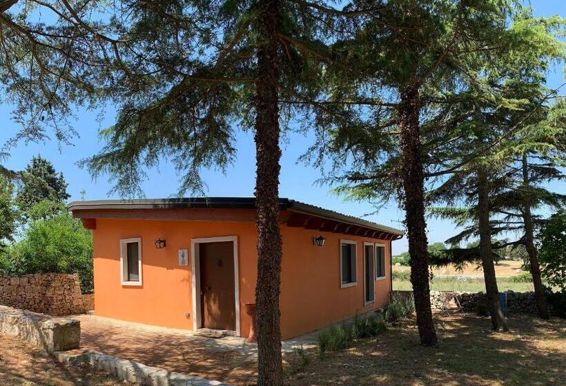 Номер Стандарт Вид на Сад, Barsentello