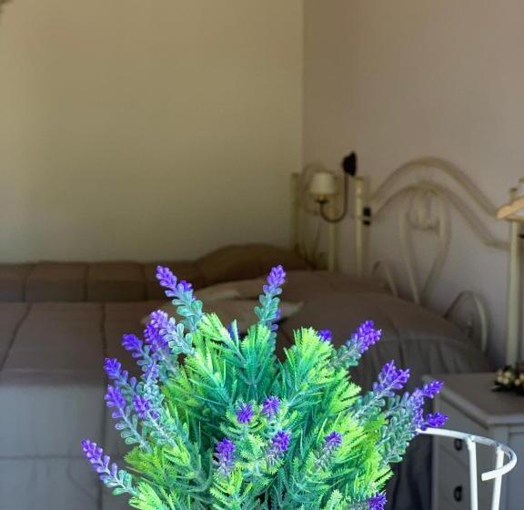 Номер Superior Вид на Сад, Barsentello