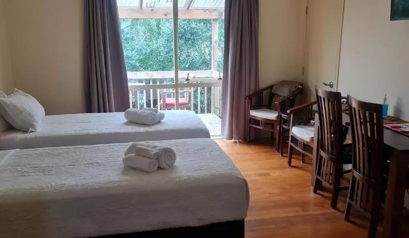 استودیوی استاندارد, Avalon Resort