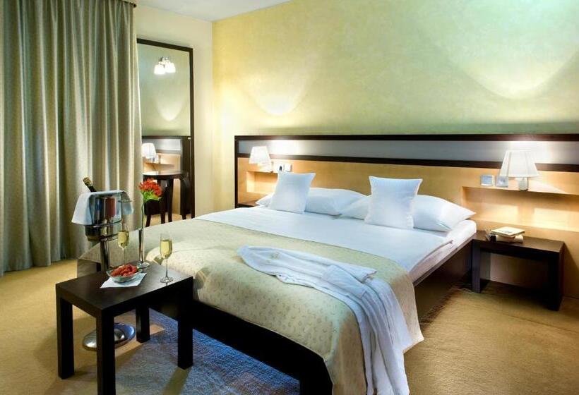 اتاق استاندارد, Boutique Hotel Dubná Skala