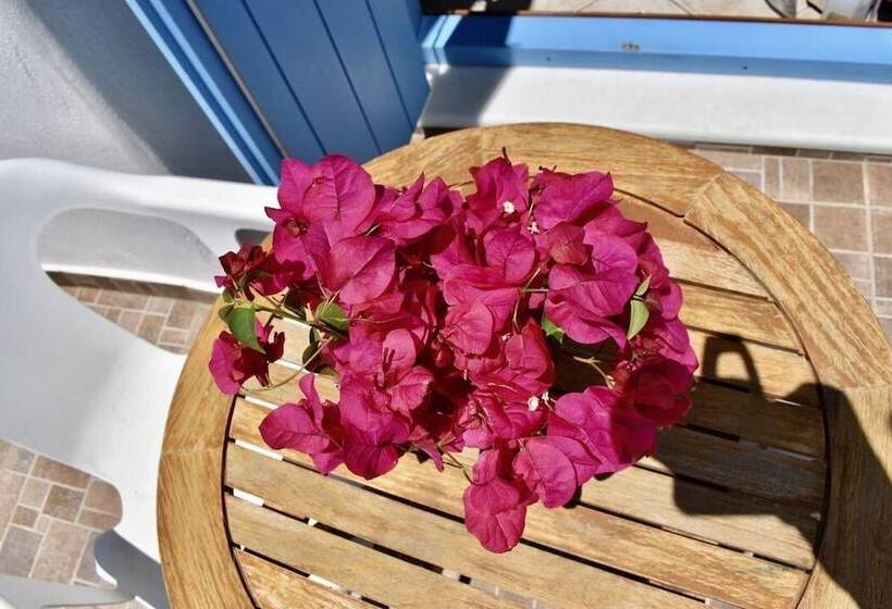 스탠다드 룸, Minoa