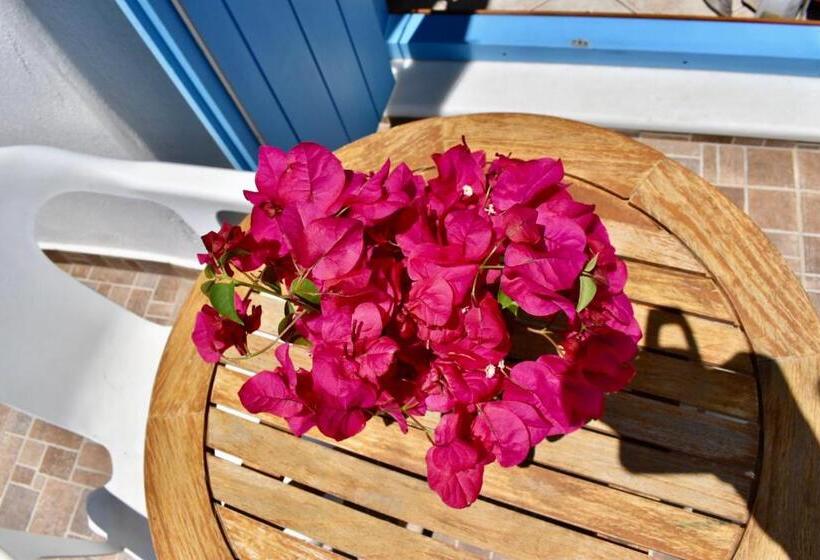 스탠다드 룸, Minoa