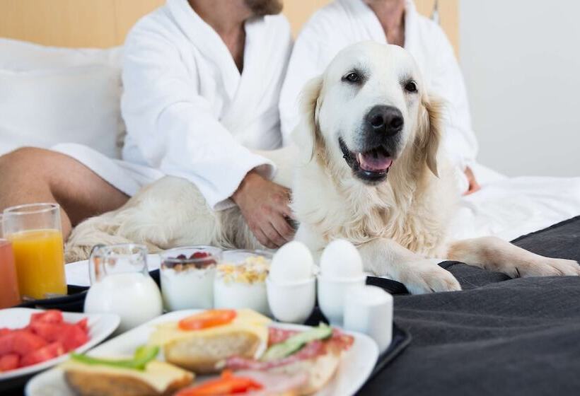 חדר סטנדרט, Best Western Plus Park City Malmö