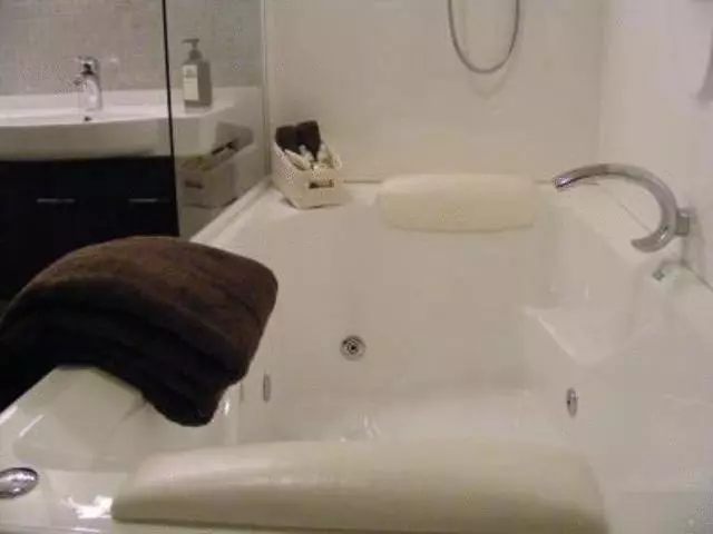 デラックススタジオ, Terra Vive Suites & Apartments