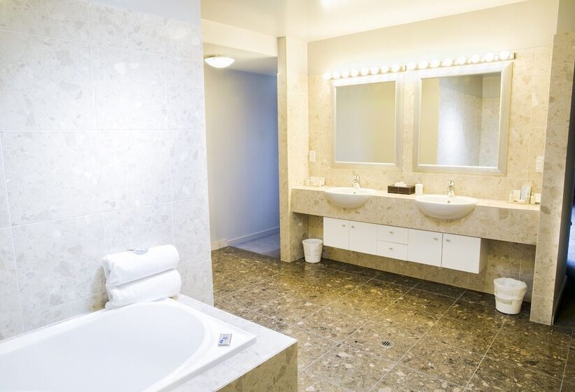 1 Bedroom Penthouse Apartment, The Glebe Apartments