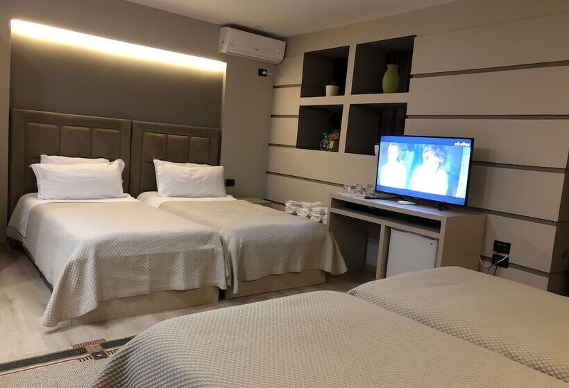 غرفة قياسية رباعية, Freddy S