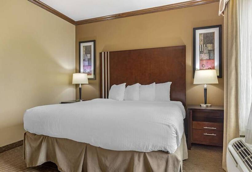 סוויטה מותאמת לאדם עם מוגבלויות, Best Western Plus Texoma Hotel & Suites