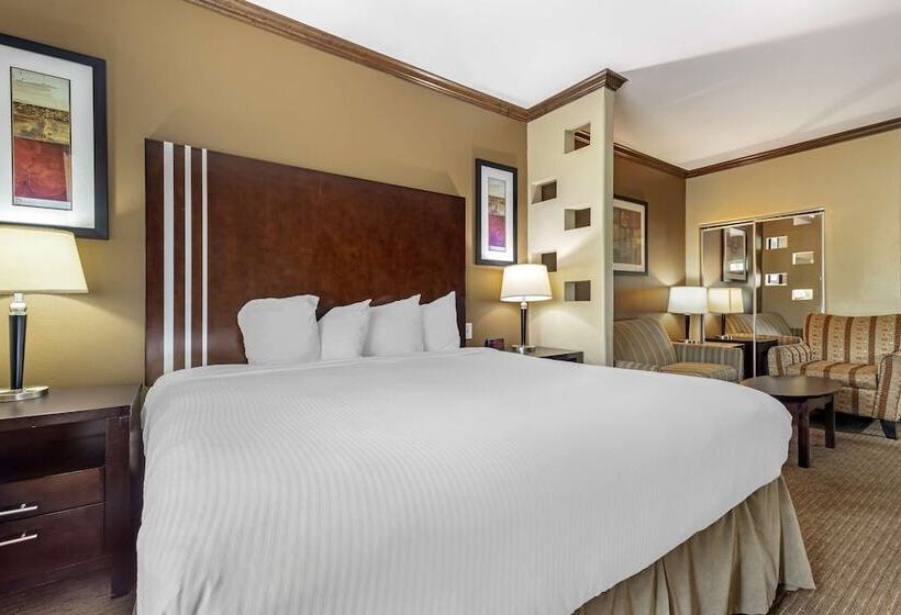 סוויטה מותאמת לאדם עם מוגבלויות, Best Western Plus Texoma Hotel & Suites