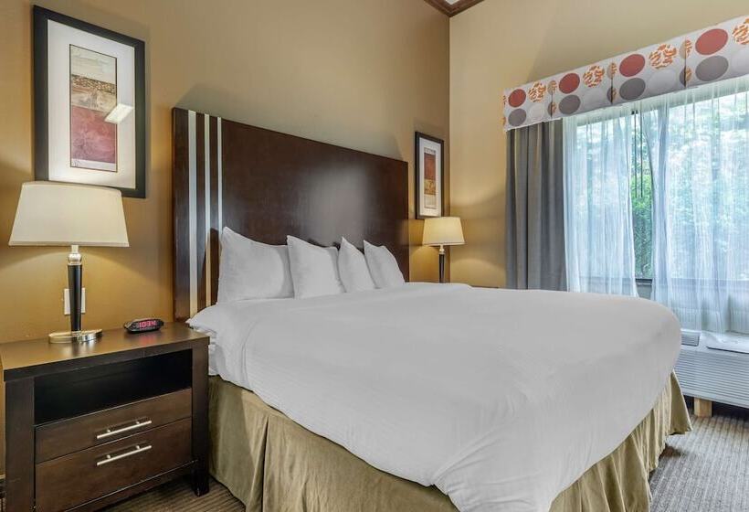 Люкс Адаптированный для Инвалидов, Best Western Plus Texoma Hotel & Suites