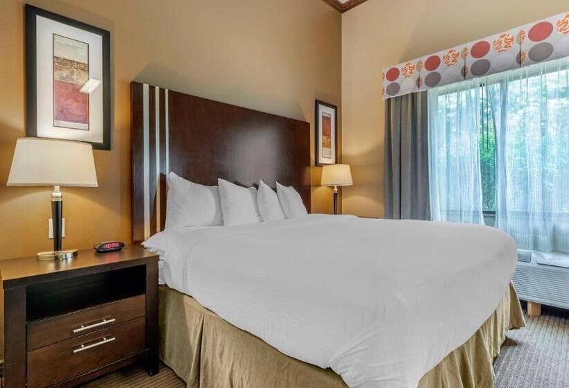 Люкс Кровать Кинг, Best Western Plus Texoma Hotel & Suites