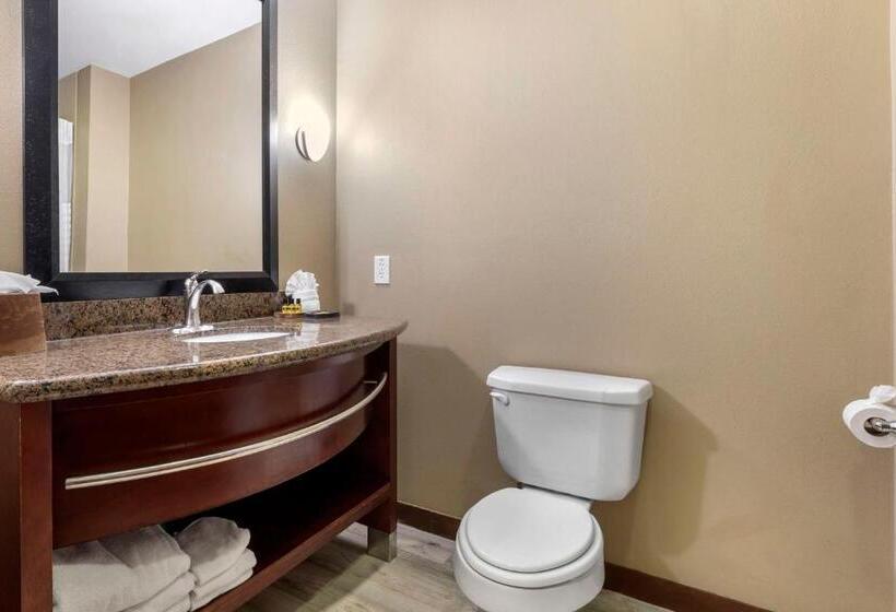 מיטת קינג בסוויטה, Best Western Plus Texoma Hotel & Suites