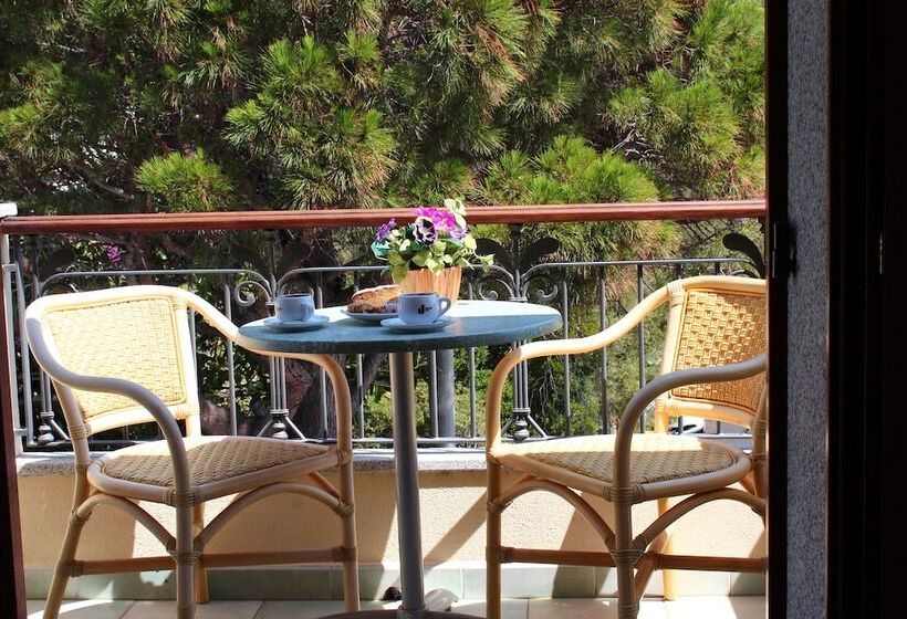 Номер Стандарт, Il Nuovo Gabbiano