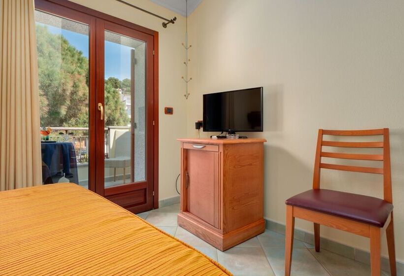 Номер Стандарт, Il Nuovo Gabbiano