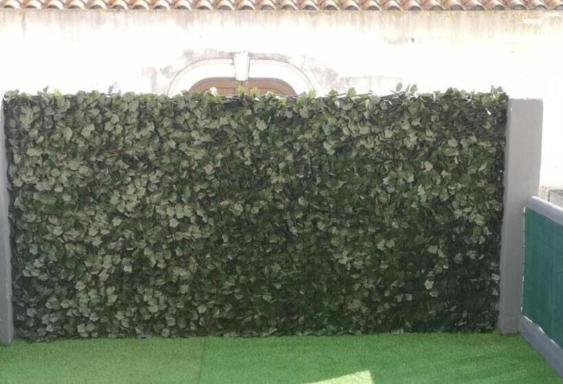 스탠다드 테라스 룸, Residencial S Juliao Al