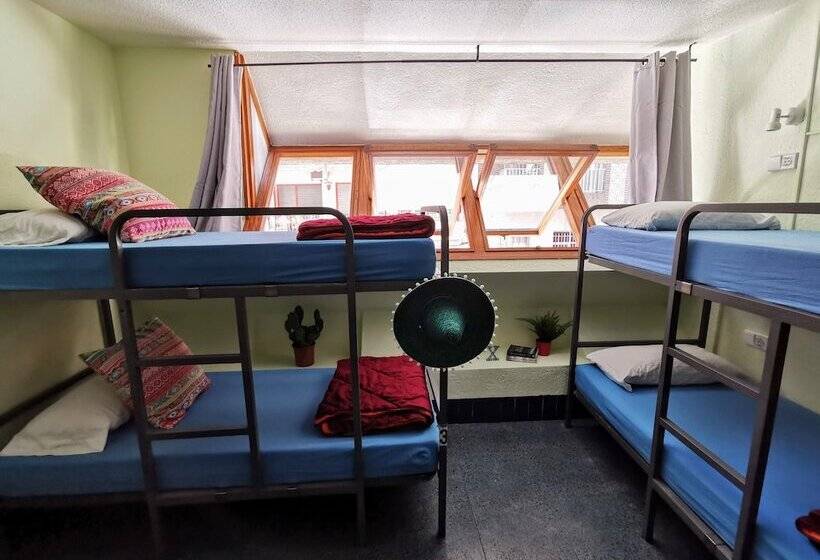 공동 객실, X Hostel Alicante