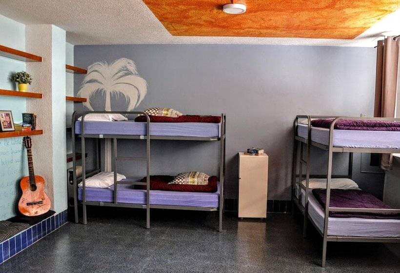 공동 객실, X Hostel Alicante