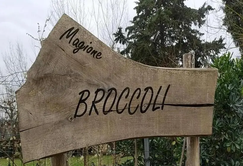 Standard Neljän Hengen Huone, Magione Broccoli