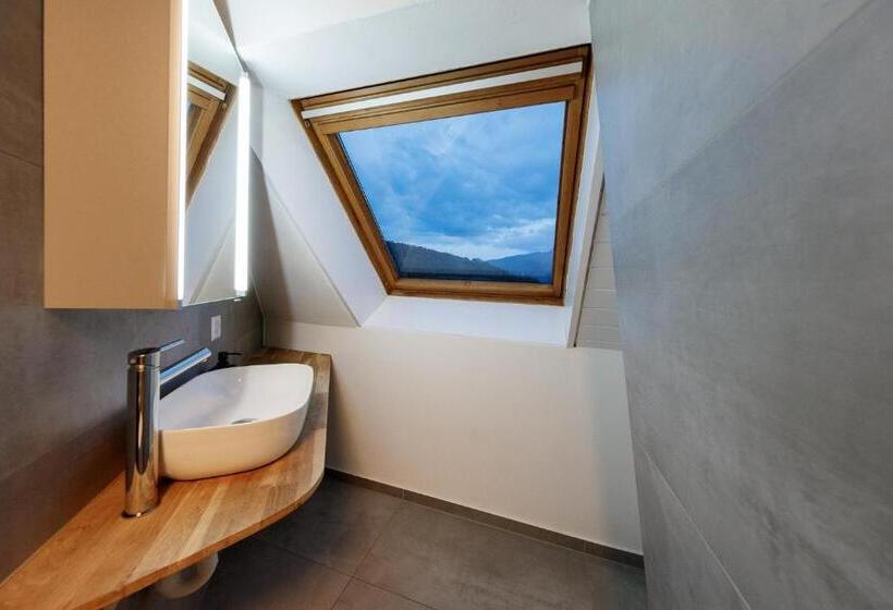 豪华工作室, Welcome Apartments Spiez