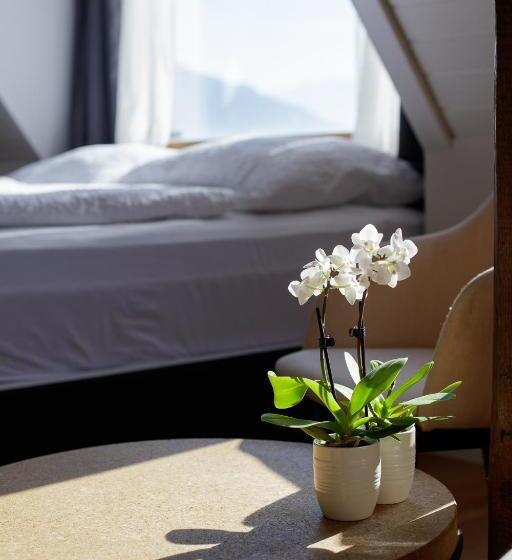 豪华工作室, Welcome Apartments Spiez