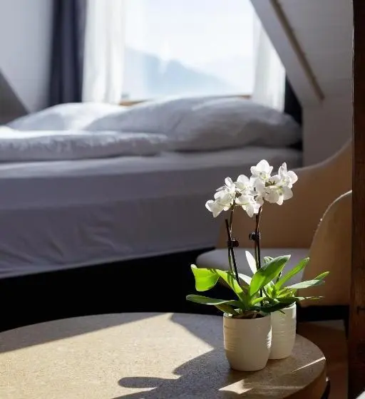 デラックススタジオ, Welcome Apartments Spiez