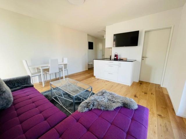 1 Bedroom Apartment Lake View, Welcome Apartments Spiez