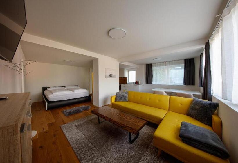 Апартаменты 1 Спальня, Welcome Apartments Spiez