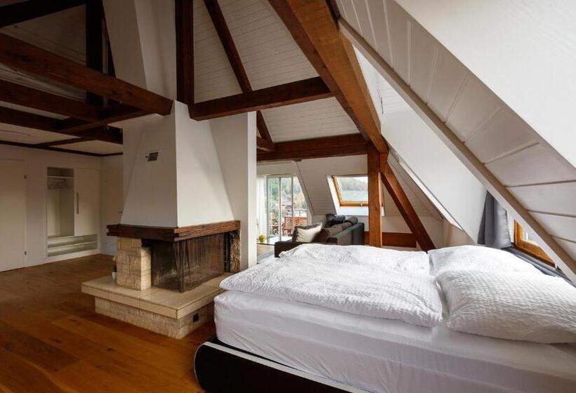 Студия Deluxe, Welcome Apartments Spiez